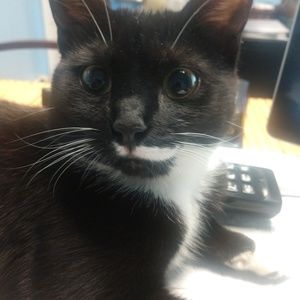 Meet your Posher, Vera